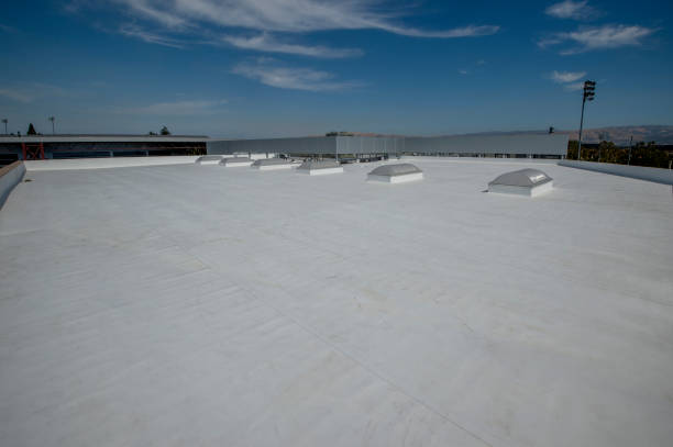 Best Roof Insulation Installation  in Harbour Heights, FL