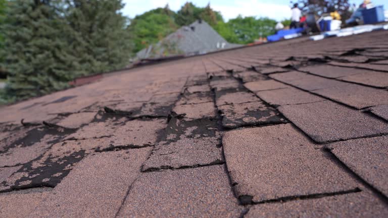 Professional Roofing Services in Harbour Heights, FL