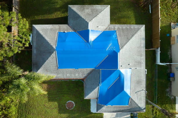 Best Roof Moss and Algae Removal  in Harbour Heights, FL