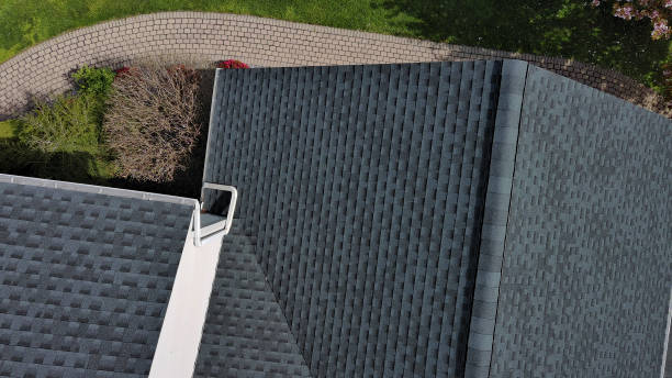 Best Roof Leak Repair  in Harbour Heights, FL