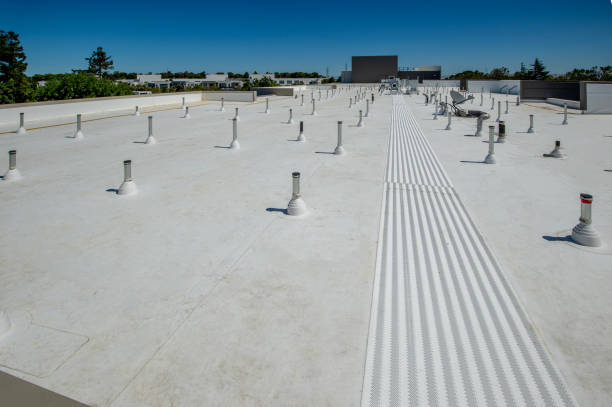 Best Tile Roofing Installation  in Harbour Heights, FL